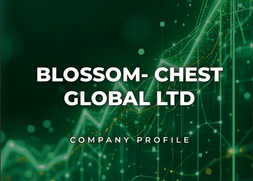 Investor Brief PDF preview